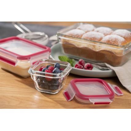 Tefal - Toidukonteiner 0,45 l MSEAL GLASS punane/klaas