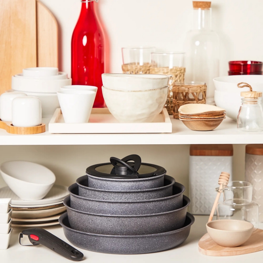 Tefal - Väike pott INGENIO NATURAL FORCE 20 cm