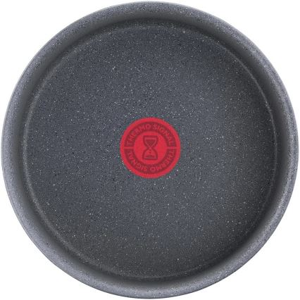 Tefal - Väike pott INGENIO NATURAL FORCE 20 cm