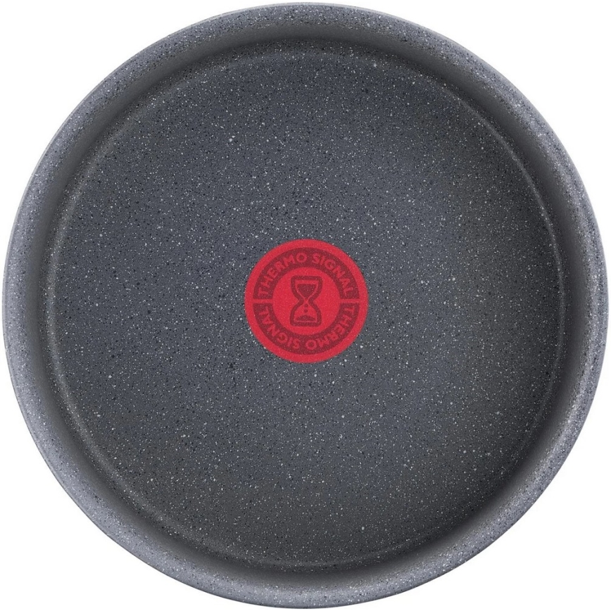 Tefal - Väike pott INGENIO NATURAL FORCE 20 cm