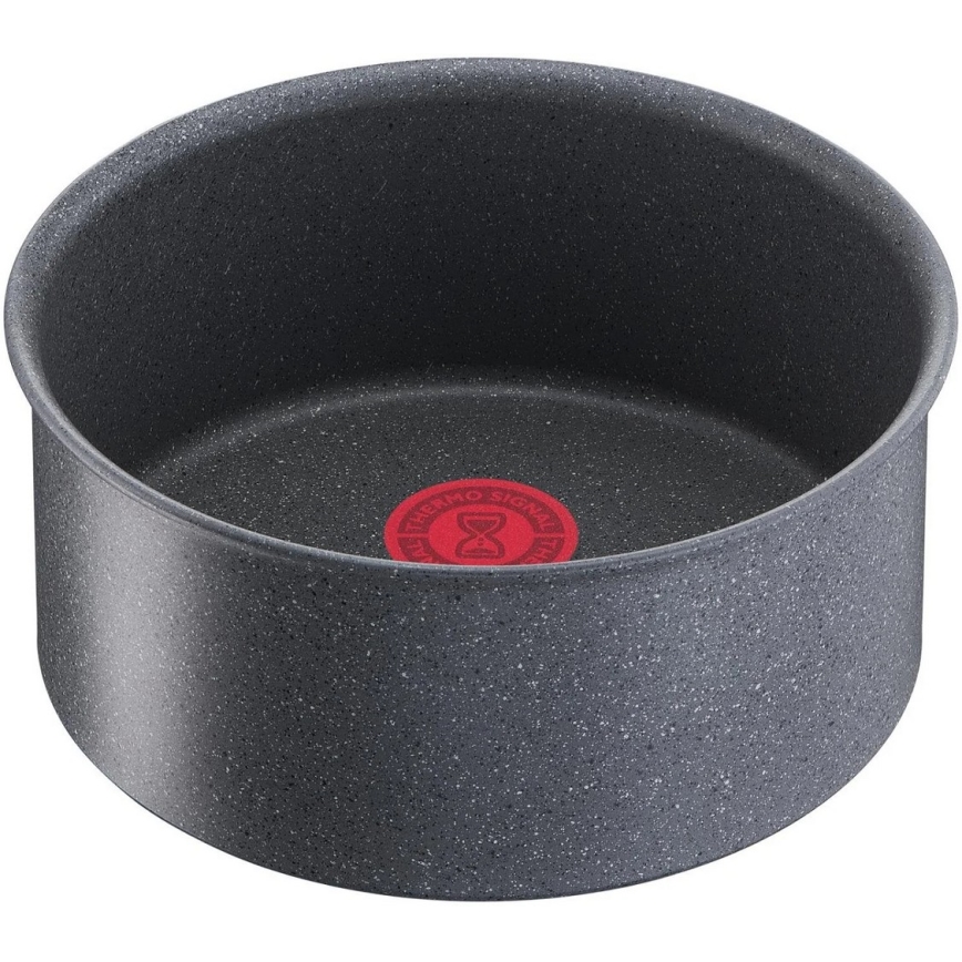Tefal - Väike pott INGENIO NATURAL FORCE 20 cm