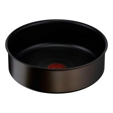 Tefal - Väike pott INGENIO Unlimited 20 cm