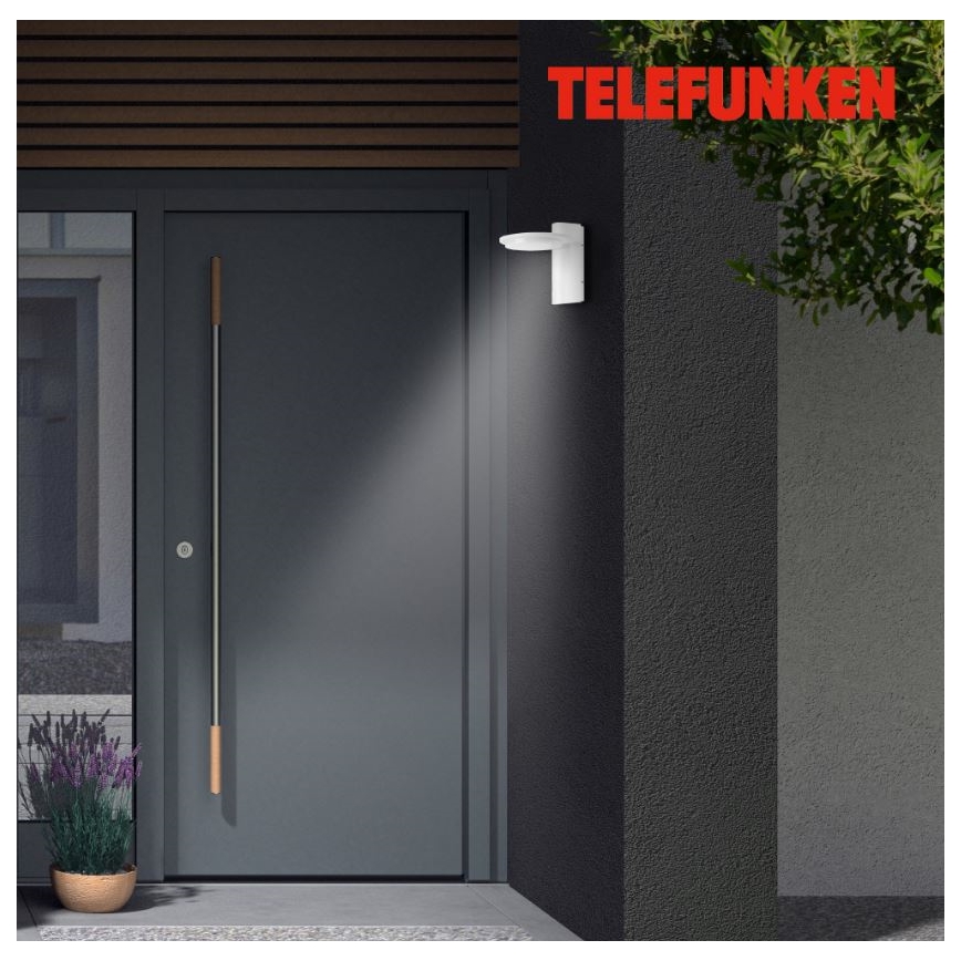Telefunken 312406TF - LED Väli seinavalgusti LED/10W/230V IP44