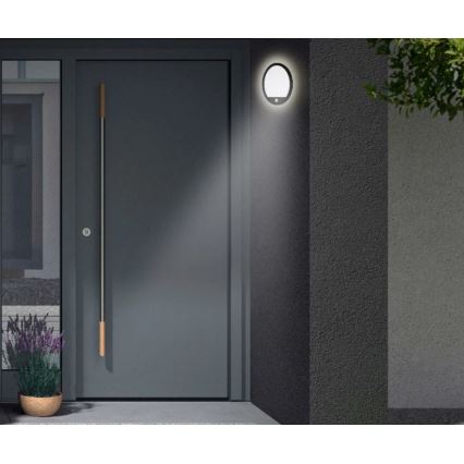 Telefunken 313705TF - LED Väli seinavalgusti anduriga LED/15W/230V IP44