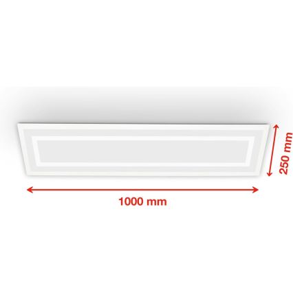Telefunken 318906TF - LED RGBW hämardatav laelamp LED/24W/230V 3000-6500K 25x100 cm + kaugjuhtimispult