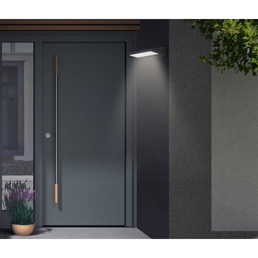 Telefunken - LED välisseina valgusti LED/10W/230V IP44 must