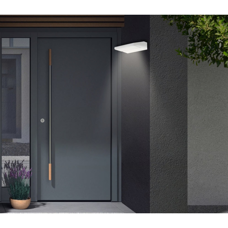 Telefunken - LED välisseinavalgusti LED/10W/230V IP44 valge