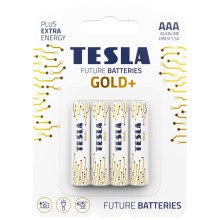 Tesla Batteries - 4 tk Alkaline patarei AAA GOLD+ 1,5V