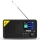 TESLA Electronics - Raadio DAB+ FM 5W/1800 mAh must