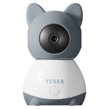 Tesla - Nutikaamera 360 Baby Full HD 1080p 5V Wi-Fi hall