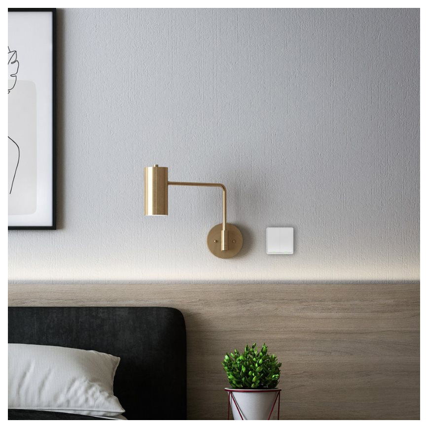 TESLA Smart - Nutikas juhtmevaba lüliti 2P 1xCR2430 ZigBee