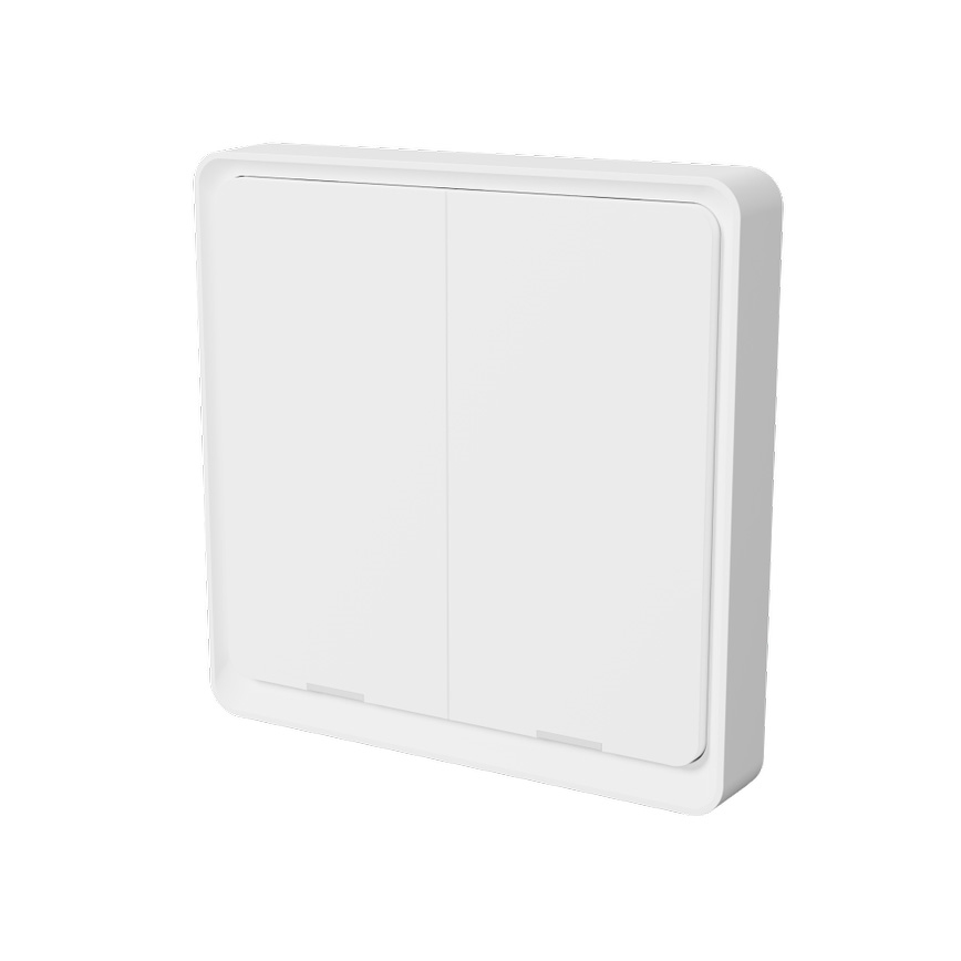 TESLA Smart - Nutikas juhtmevaba lüliti 2P 1xCR2430 ZigBee