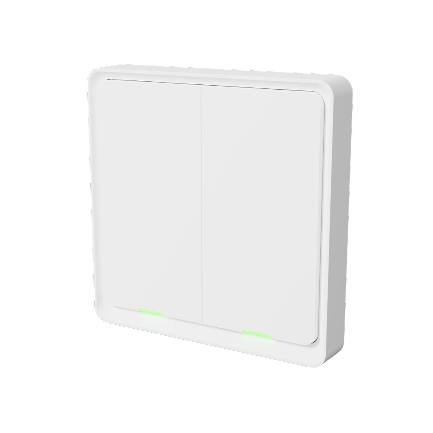 TESLA Smart - Nutikas juhtmevaba lüliti 2P 1xCR2430 ZigBee