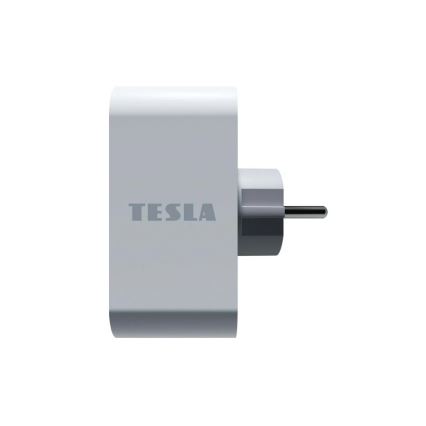 TESLA Smart - Nutikas pistikupesa jagaja 2x16A/230V Tüüp F Wi-Fi Tuya