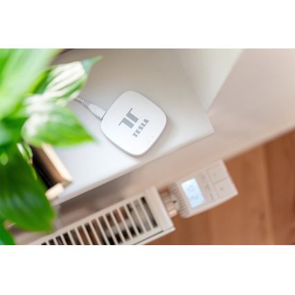 TESLA Smart - Nutikas sild Hub Smart Zigbee Wi-Fi