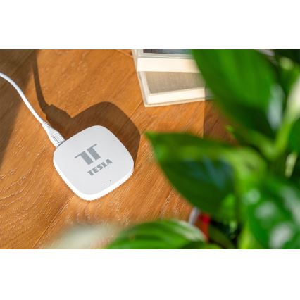 TESLA Smart - Nutikas sild Hub Smart Zigbee Wi-Fi