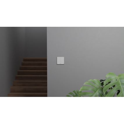 TESLA Smart - Nutilüliti 2P 230V Zigbee
