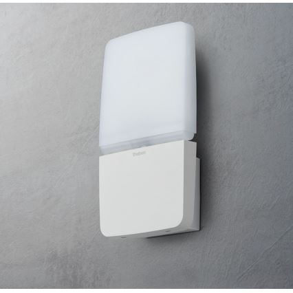theben - LED seinaprožektor LED/11W/230V valge IP55