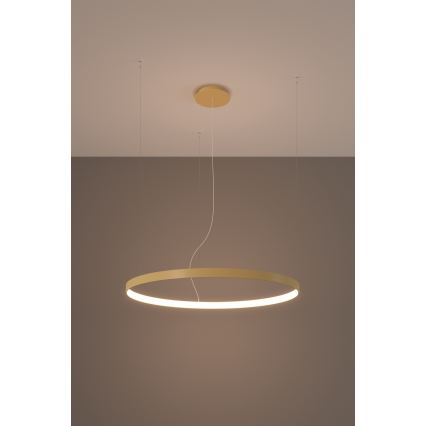 Thoro TH.174 - LED Lühter RIO LED/50W/230V CRI 90 3000K d. 78 cm kuldne
