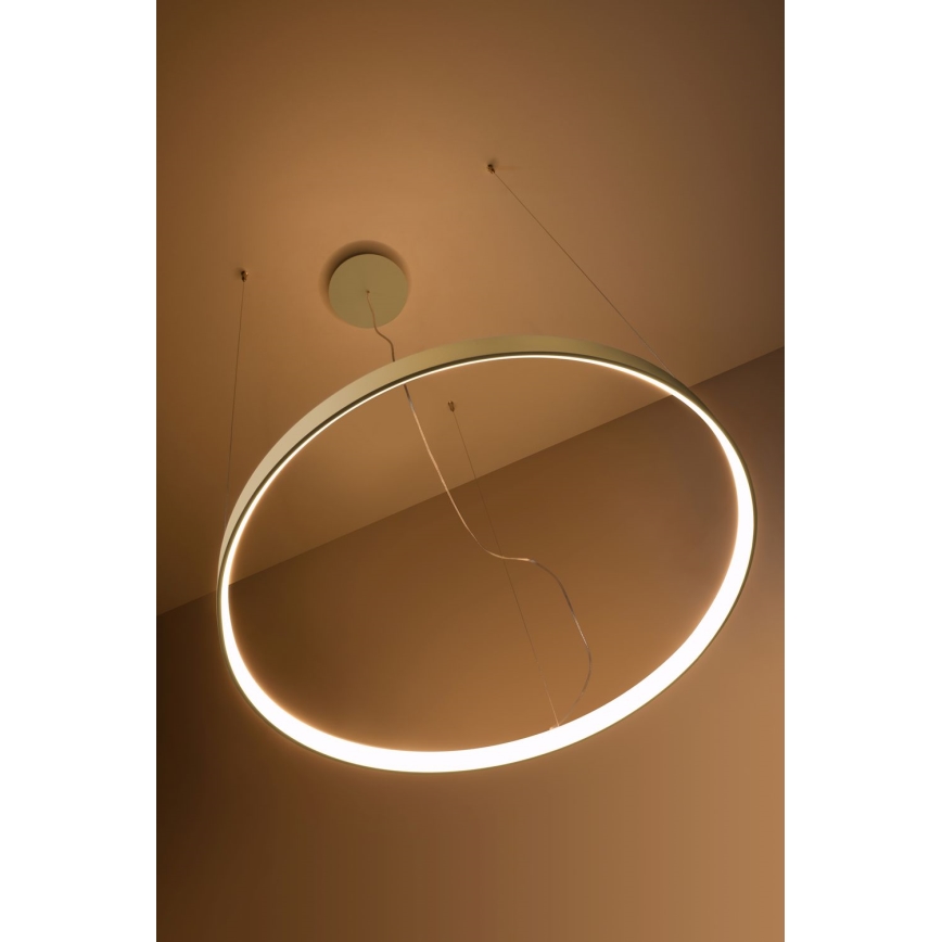 Thoro TH.174 - LED Lühter RIO LED/50W/230V CRI 90 3000K d. 78 cm kuldne