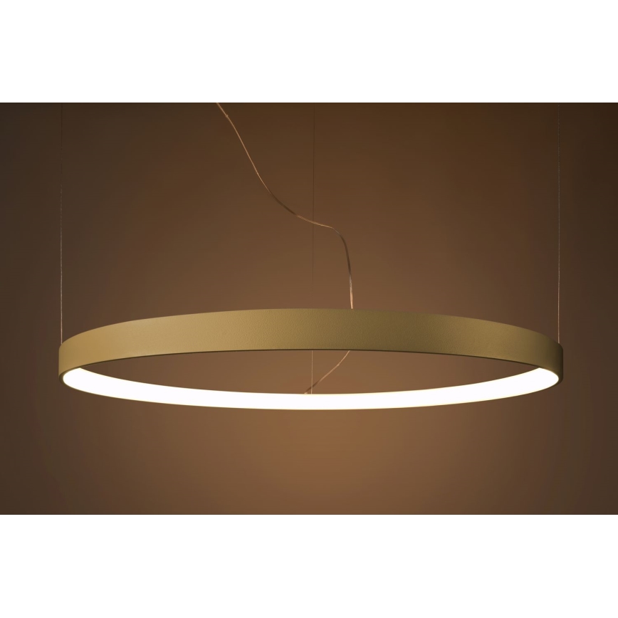 Thoro TH.174 - LED Lühter RIO LED/50W/230V CRI 90 3000K d. 78 cm kuldne