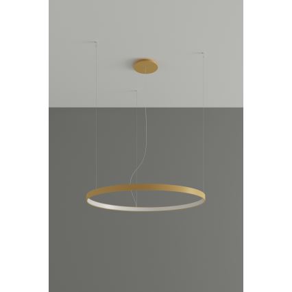 Thoro TH.181 - LED  Lühter RIO LED /50W/230V CRI 95 4000K d. 78 cm kuldne