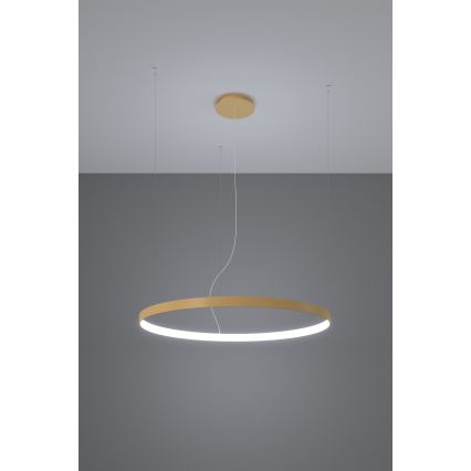 Thoro TH.181 - LED  Lühter RIO LED /50W/230V CRI 95 4000K d. 78 cm kuldne