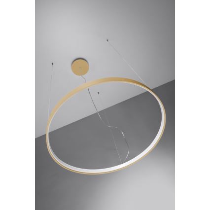 Thoro TH.181 - LED  Lühter RIO LED /50W/230V CRI 95 4000K d. 78 cm kuldne