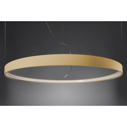 Thoro TH.216 - LED Lühter RIO LED/30W/230V CRI90 3000K d. 55 cm kuldne