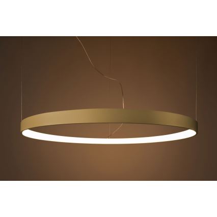 Thoro TH.216 - LED Lühter RIO LED/30W/230V CRI 90 3000K d. 55 cm kuldne