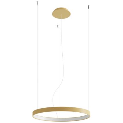 Thoro TH.216 - LED Lühter RIO LED/30W/230V CRI 90 3000K d. 55 cm kuldne