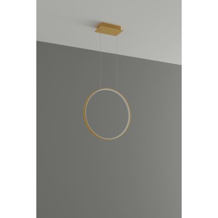 Thoro TH.220 - LED Lühter RIO LED/30W/230V CRI 90 3000K d. 55 cm kuldne