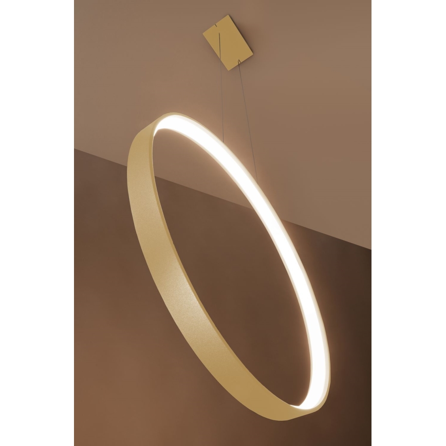 Thoro TH.220 - LED Lühter RIO LED/30W/230V CRI 90 3000K d. 55 cm kuldne