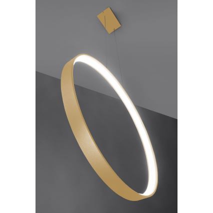 Thoro TH.221 - LED Lühter RIO LED/30W/230V CRI 95 4000K d. 55 cm kuldne