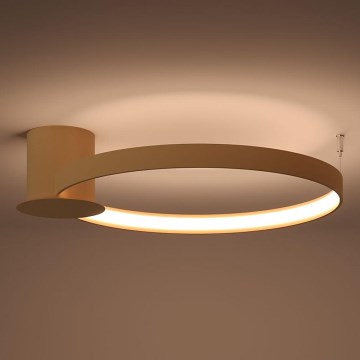 Thoro TH.222 - LED Laevalgusti RIO LED/30W/230V CRI 90 3000K d. 55 cm kuldne