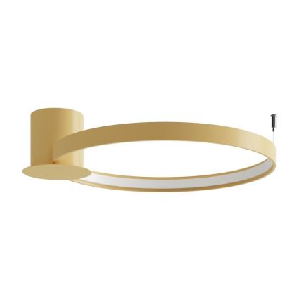 Thoro TH.222 - LED Laevalgusti RIO LED/30W/230V CRI 90 3000K d. 55 cm kuldne