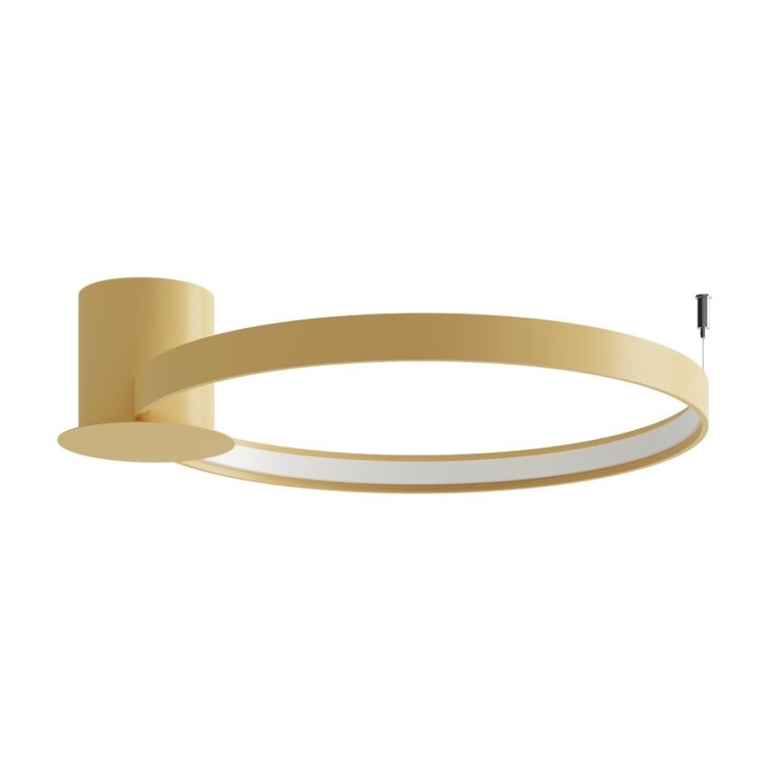 Thoro TH.222 - LED Laevalgusti RIO LED/30W/230V CRI 90 3000K d. 55 cm kuldne