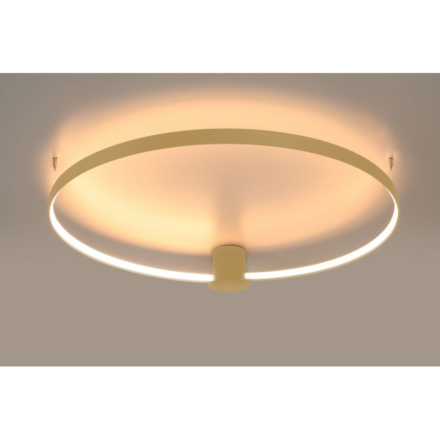 Thoro TH.222 - LED laevalgusti RIO LED/21W/230V CRI 98 3000K, läbimõõt 55 cm, kuldne