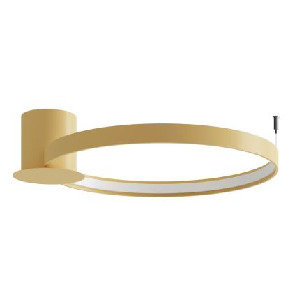 Thoro TH.223 - LED laelamp RIO LED/30W/230V CRI 98 4000K läbimõõt 55 cm kuldne