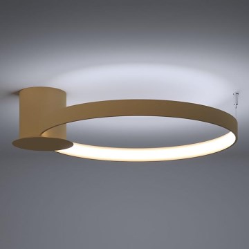 Thoro TH.223 - LED Laevalgusti RIO LED/30W/230V CRI 95 4000K d. 55 cm kuldne