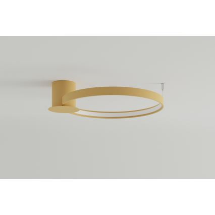 Thoro TH.223 - LED Laevalgusti RIO LED/30W/230V CRI 95 4000K d. 55 cm kuldne