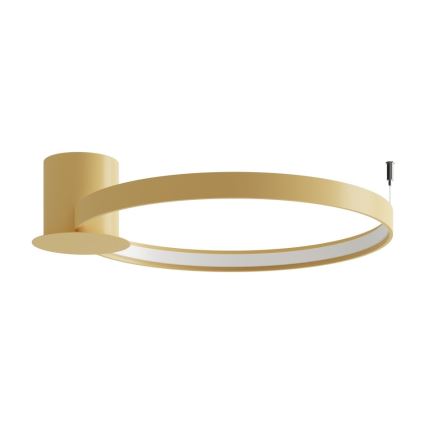 Thoro TH.223 - LED Laevalgusti RIO LED/30W/230V CRI 95 4000K d. 55 cm kuldne