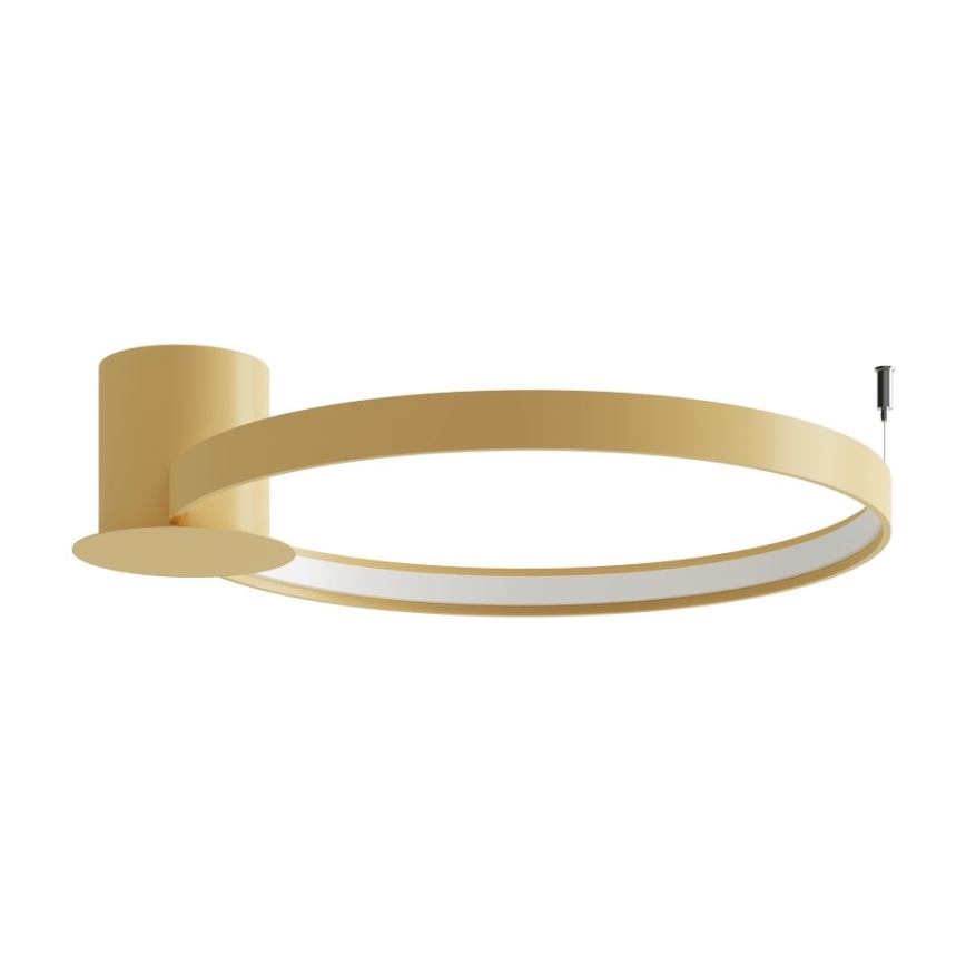 Thoro TH.223 - LED Laevalgusti RIO LED/30W/230V CRI 95 4000K d. 55 cm kuldne