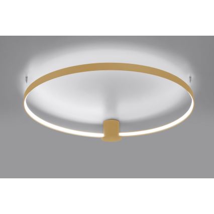 Thoro TH.223 - LED Laevalgusti RIO LED/30W/230V CRI 95 4000K d. 55 cm kuldne