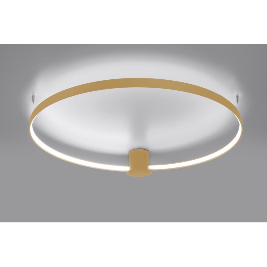 Thoro TH.223 - LED Laevalgusti RIO LED/30W/230V CRI 95 4000K d. 55 cm kuldne
