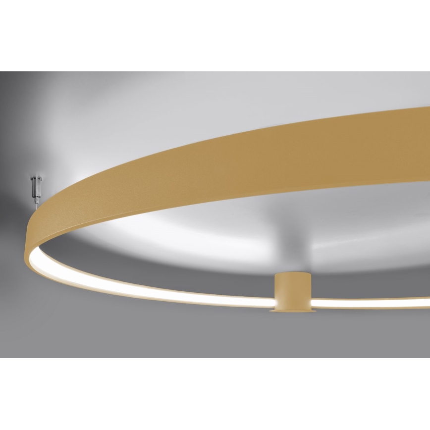 Thoro TH.223 - LED Laevalgusti RIO LED/30W/230V CRI 95 4000K d. 55 cm kuldne