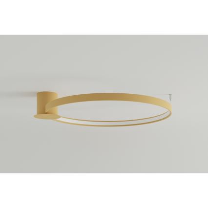 Thoro TH.224 - LED Laevalgusti RIO LED/50W/230V CRI 90 3000K d. 78 cm kuldne