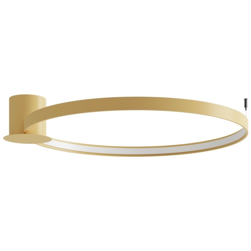 Thoro TH.224 - LED Laevalgusti RIO LED/50W/230V CRI 90 3000K d. 78 cm kuldne