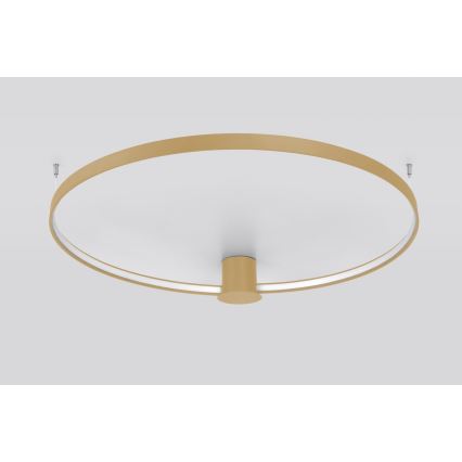 Thoro TH.224 - LED Laevalgusti RIO LED/50W/230V CRI 90 3000K d. 78 cm kuldne