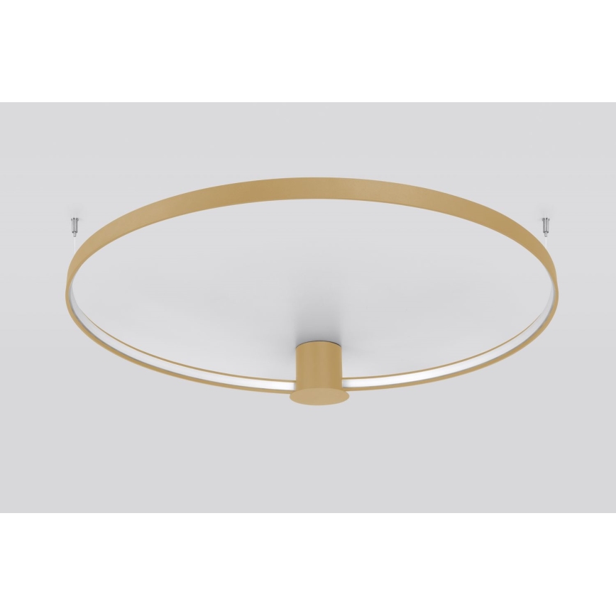 Thoro TH.224 - LED Laevalgusti RIO LED/50W/230V CRI 90 3000K d. 78 cm kuldne